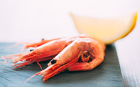 ShrimpFest, Little River