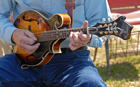 South Carolina Bluegrass Festival