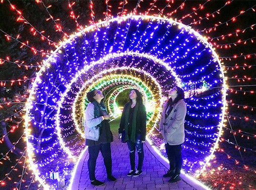 CarltonHotel LocalEvents December