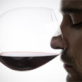 The Mystery of Wine Pairings