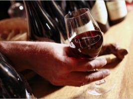 The First Steps to Becoming A Self-Taught Wine Connoisseur