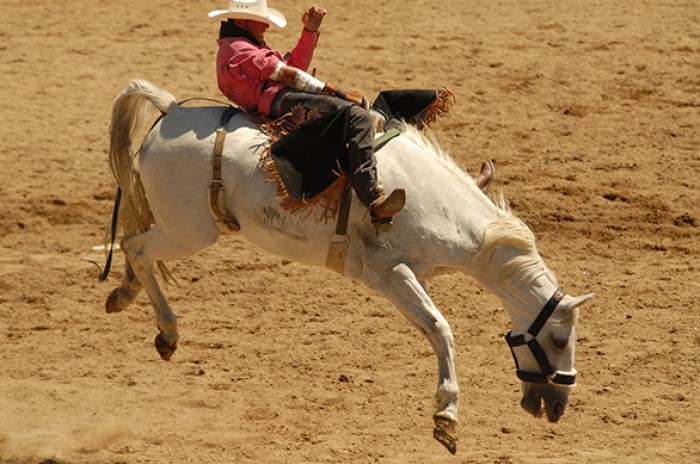 Pendleton Round-Up
