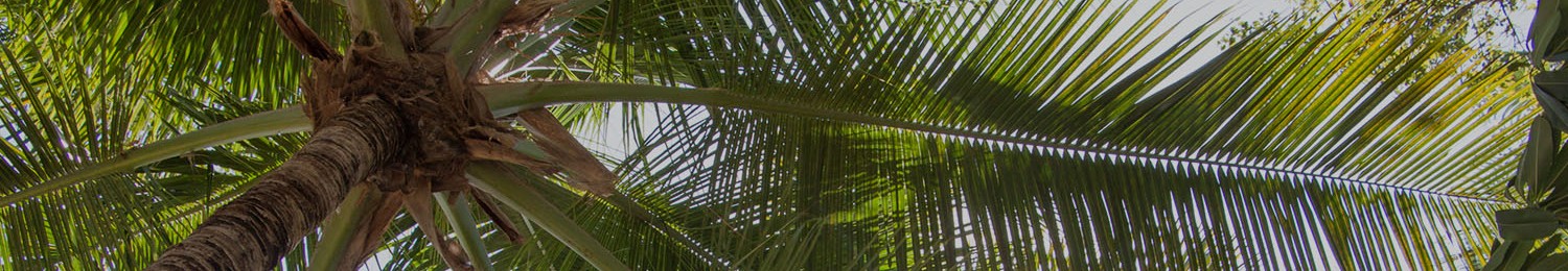 Gallery Events
