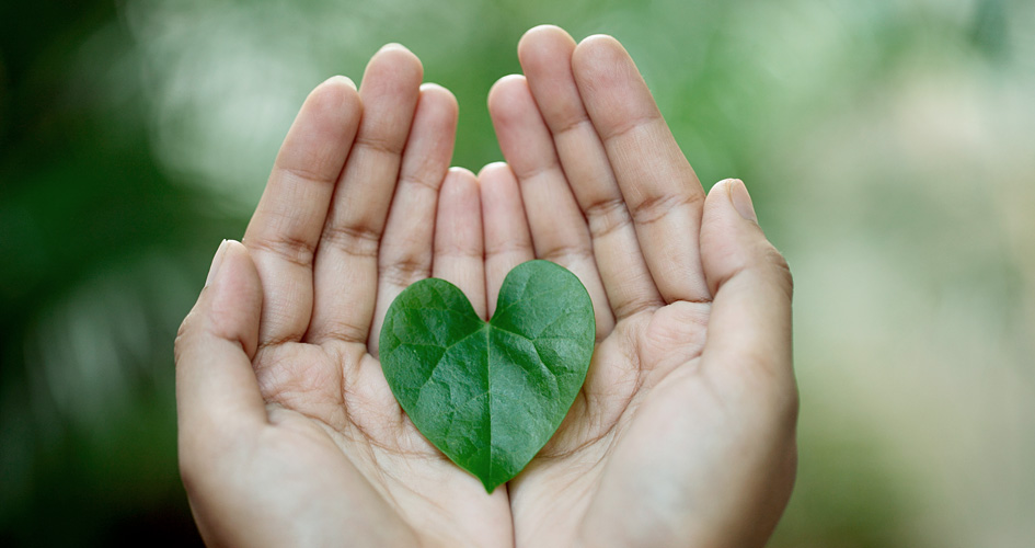 The Essence of Environmentally<br> Friendly Hospitality