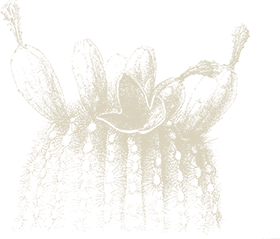 Flower Decoration