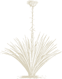 Flower Decoration
