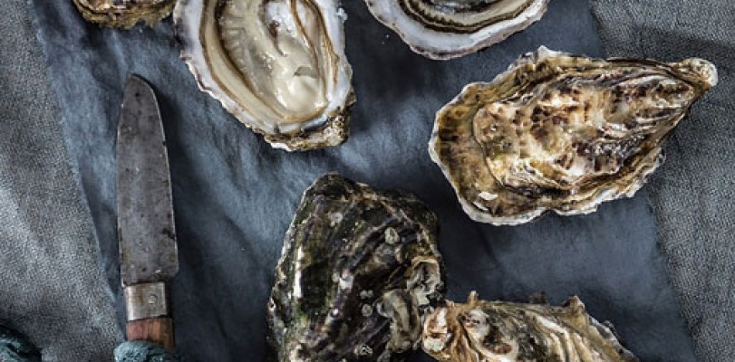 Satisfy your love for new flavors and embark on a gastronomic tour of Charleston's exciting restaurant scene, renowned the world over.