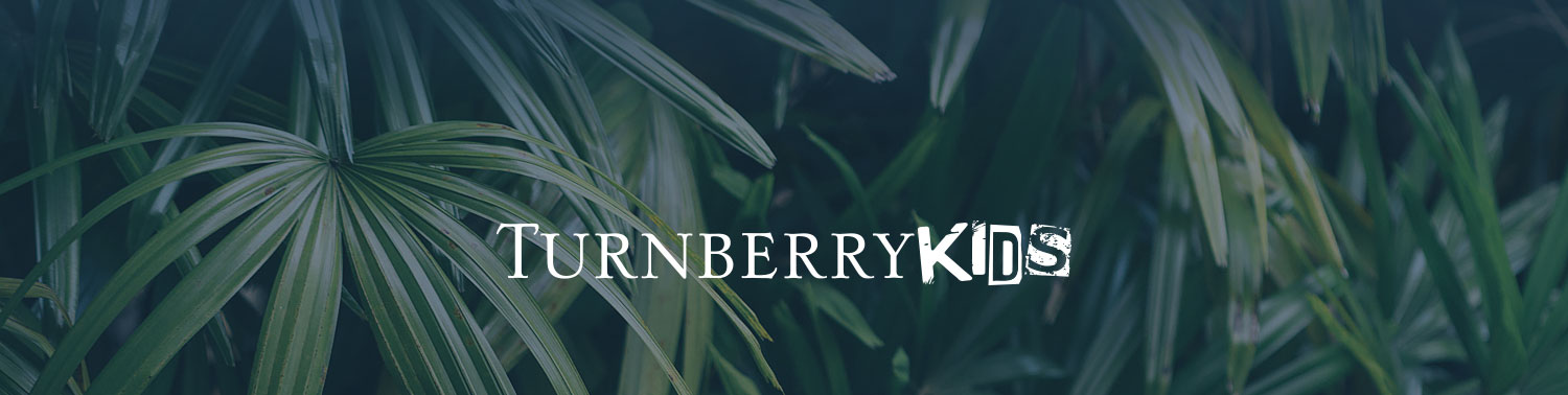 Turnberry Kids Header