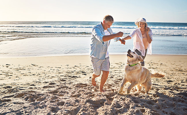 <span>2 | You can't imagine a vacation</span><br> without your furry friends