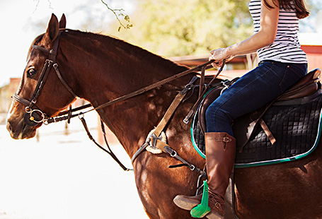 5. You Like To Horse Around
